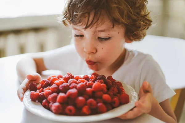 Lindo niño hermoso comiendo frambuesas frescas. Alimentación saludable, infancia y desarrollo. —  Fotos de Stock