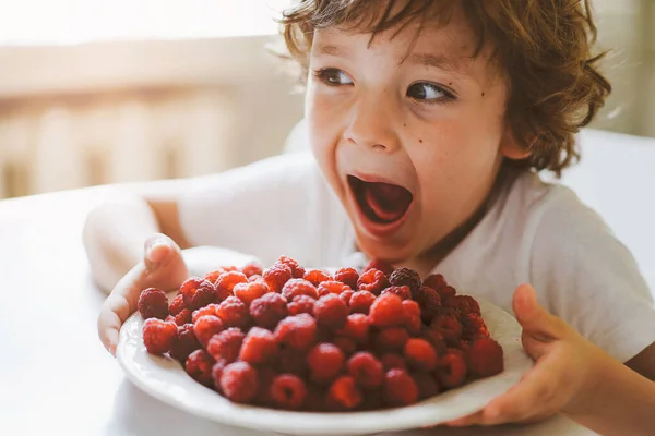 Lindo niño hermoso comiendo frambuesas frescas. Alimentación saludable, infancia y desarrollo. — Foto de Stock