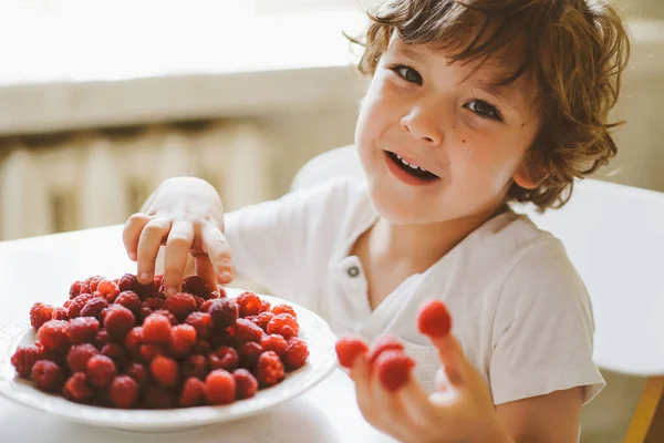 Lindo niño hermoso comiendo frambuesas frescas. Alimentación saludable, infancia y desarrollo. — Foto de Stock