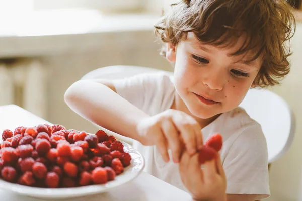 Lindo niño hermoso comiendo frambuesas frescas. Alimentación saludable, infancia y desarrollo. — Foto de Stock