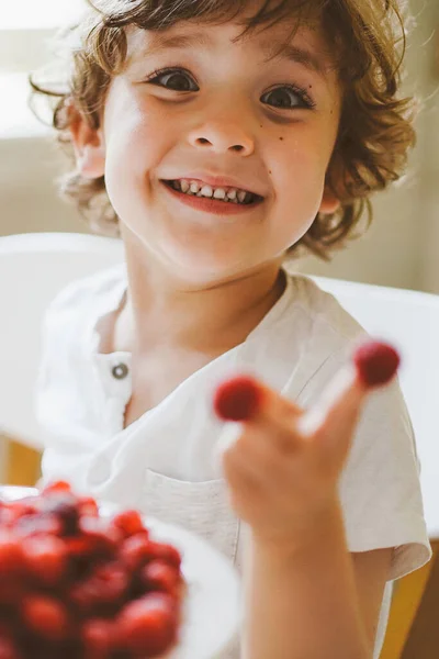 Lindo niño hermoso comiendo frambuesas frescas. Alimentación saludable, infancia y desarrollo. — Foto de Stock