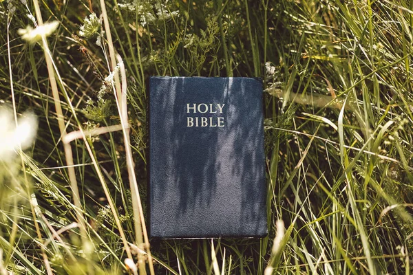 圣经绿草。读《圣经》信仰、灵修和宗教的概念 — 图库照片