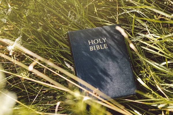 La Bibbia nell'erba verde. Leggere la Sacra Bibbia. Concetto di fede, spiritualità e religione — Foto Stock