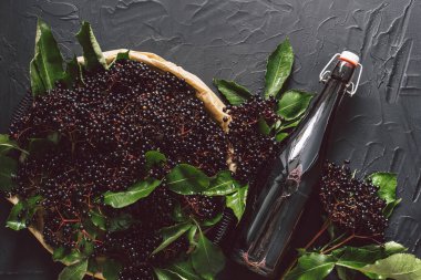 Koyu bir arka planda bir şişe mürver şurubu ve taze elderberry. 