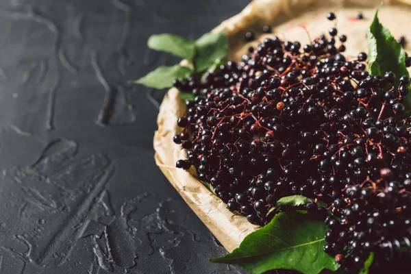 Fruit sureau noir sur un fond sombre. (Sambucus nigra). Fond de sureau noir européen — Photo