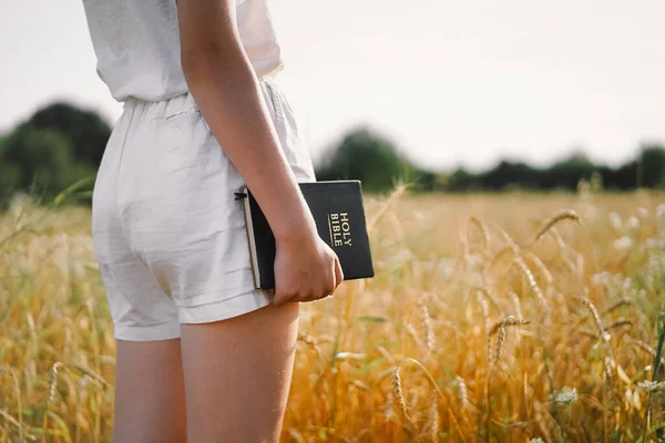 La chica tiene la Biblia en sus manos. Leyendo la Santa Biblia en un campo. Concepto de fe, espiritualidad y religión — Foto de Stock