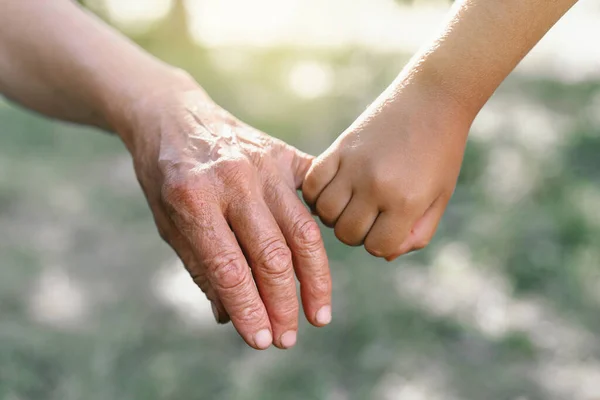 Abuela e hijo tomados de la mano. —  Fotos de Stock