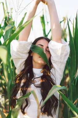 Mısır tarlasında genç bir kız. Moda - mısır yapraklı kapalı kız yüzü. Doğayla birlik. 