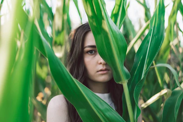 Uma jovem num milheiral. Tendência - cara de menina fechada com folhas de grão. Unidade com a natureza. — Fotografia de Stock