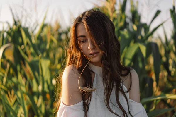 Uma jovem num campo de milho com um pico de trigo na boca. Unidade com a natureza — Fotografia de Stock