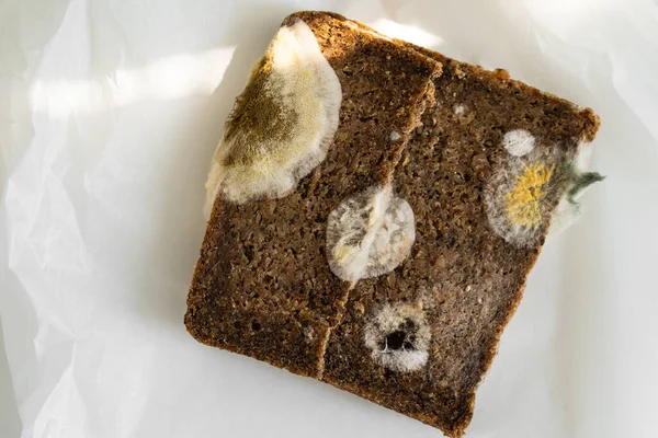 Mold on bread. Stale bread. Best before date has expired a long time ago with this moldy food