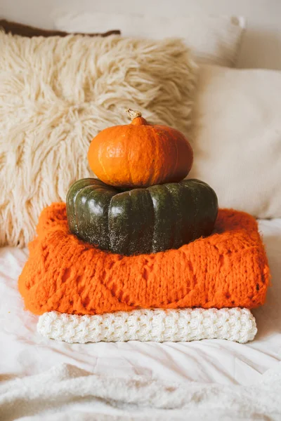 Two pumpkins green and orange. Thanksgiving or Halloween greeting card — Stock Photo, Image