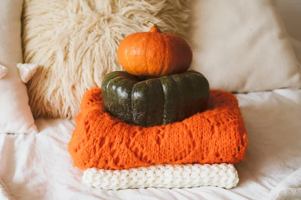 Two pumpkins green and orange. Thanksgiving or Halloween greeting card — Stock Photo, Image