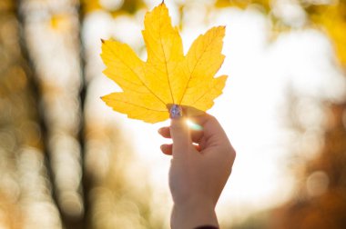 Sarı yaprağı elinde tutan kız