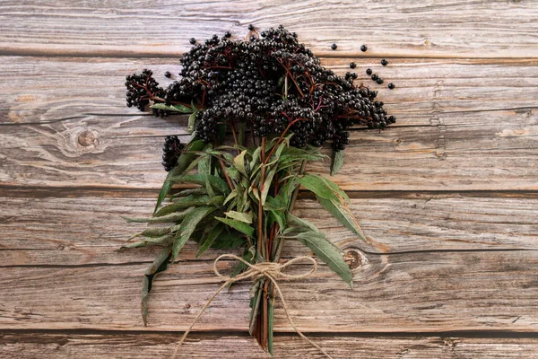 European black elderberry on a wooden background. (Sambucus nigra). — Stock Photo, Image