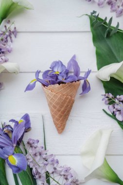 Gözleme koni wisteria, süsen, callas çiçek pembe bir arka plan ile. Düz yatıyordu, en iyi görünümü çiçek arka plan