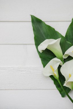 Beyaz arka plan üzerinde callas ile düz yatıyordu kompozisyon. top vie