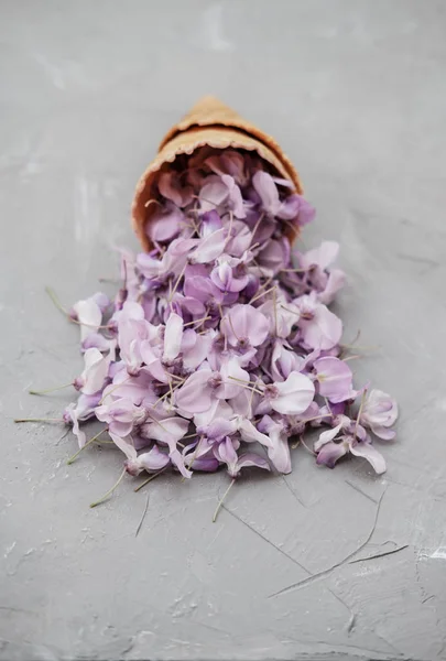 Wafel Kegel Met Blauweregen Bloem Een Grijze Achtergrond Achtergrond Van — Stockfoto