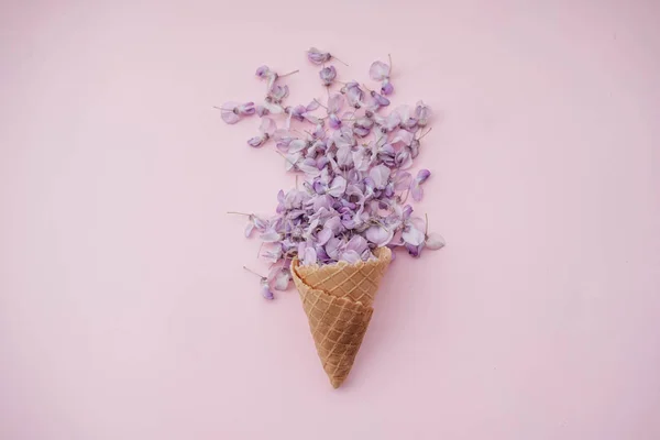 Wafel Kegel Met Blauweregen Bloem Roze Achtergrond Achtergrond Van Bloemen — Stockfoto