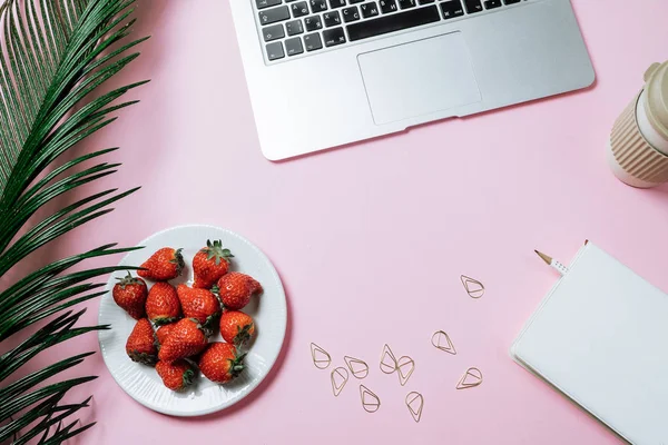 Çalışma Alanı Laptop Palmiye Yaprağı Kahve Pembe Bir Arka Plan — Stok fotoğraf