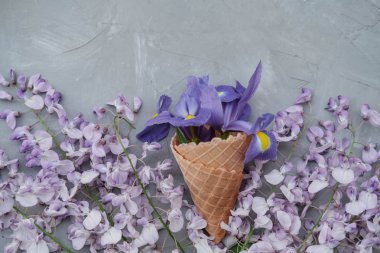 Gözleme koni wisteria, süsen, callas çiçek pembe bir arka plan ile. Düz yatıyordu, en iyi görünümü çiçek arka plan