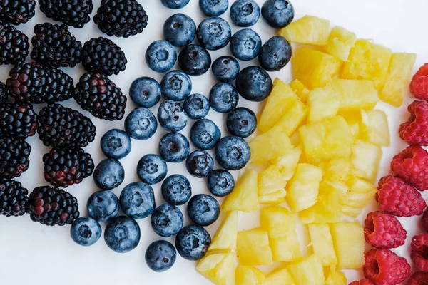 Ana Sayfa Gökkuşağı Renkleri Ananas Böğürtlen Yaban Mersini Ahududu Nane — Stok fotoğraf