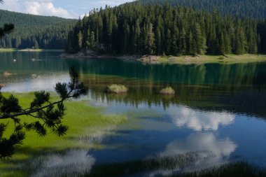 Yaz kara göl, Durmitor Milli Parkı, Zabljak, Karadağ