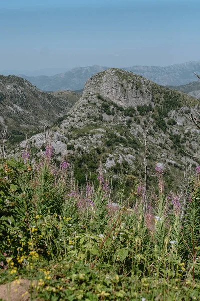 Góry Czarnogórze Okresie Letnim Słoneczny — Zdjęcie stockowe