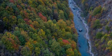 Sonbahar Manzara Dağ nehir Tara ve Karadağ'daki orman