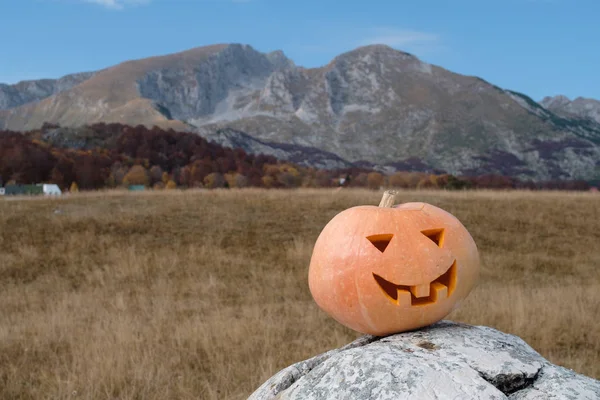 Close Halloween Carved Pumpkin Stone Nature Background — Stock Photo, Image