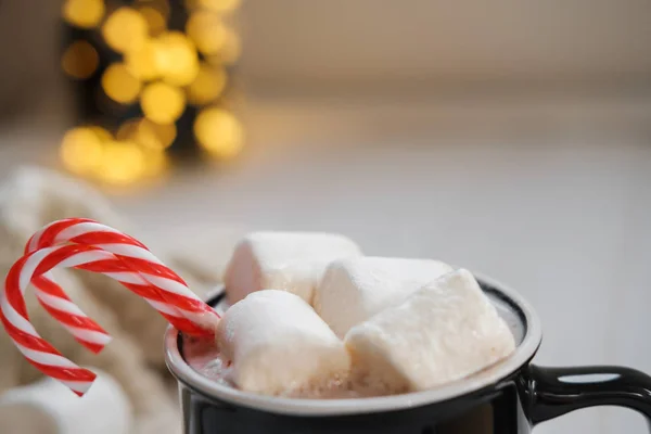 코코아 로우와 초콜릿 크리스마스 불빛의 배경에 가까이 — 스톡 사진