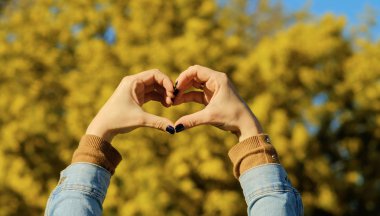 Mimoza ağacına b çiçekli kalp şeklinde eller kadın