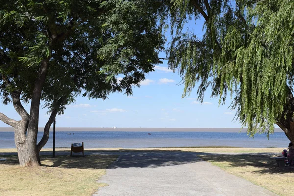 on the coast of the sea, trees and the horizon is visible