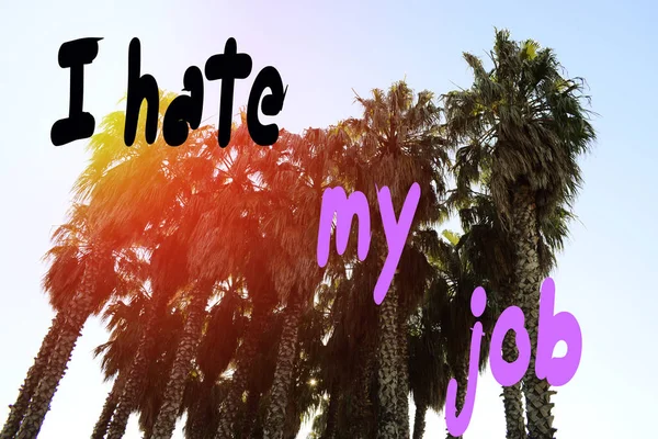 Inscription, I hate my job, against the backdrop of palm trees in the summer in the park in the rays of the setting sun