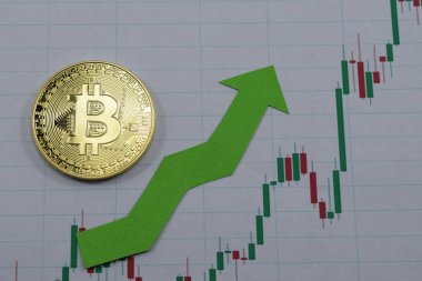 Bir bitcoin fiyatını büyür, bitcoin fiyat artış grafiği