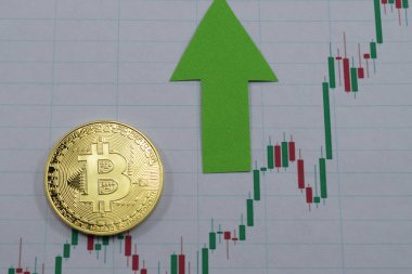 Bir bitcoin fiyatını büyür, bitcoin fiyat artış grafiği