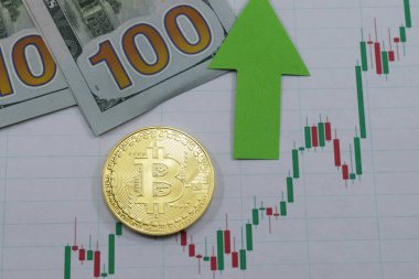 Bir bitcoin fiyatını büyür, bitcoin fiyat artış grafiği