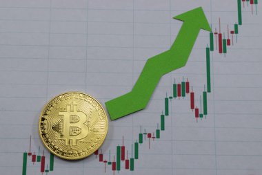Bir bitcoin fiyatını büyür, bitcoin fiyat artış grafiği