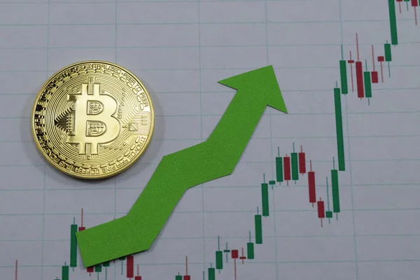 Bir bitcoin fiyatını büyür, bitcoin fiyat artış grafiği