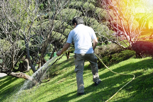 Bahçıvan sulama ağaçlar ve güneşli bir yaz aylarında çim