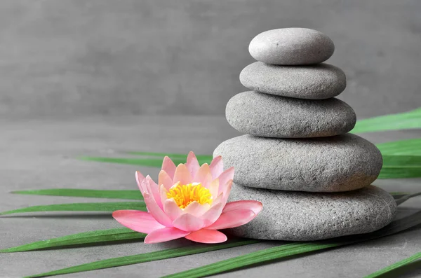 Piedras equilibrio y planta. Concepto Zen y spa . —  Fotos de Stock