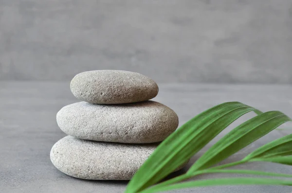 Piedras equilibrio y planta. Concepto Zen y spa . —  Fotos de Stock