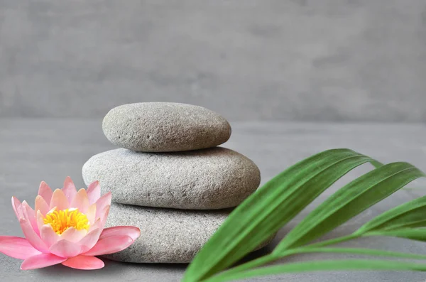 Evenwicht van de stenen en planten. Zen en spa concept. — Stockfoto