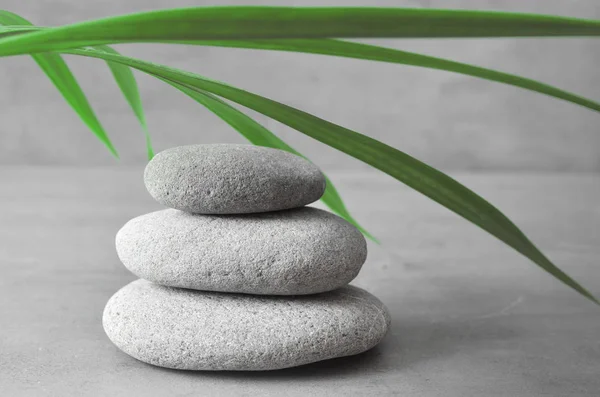 石のバランス、植物。禅とスパのコンセプト. — ストック写真