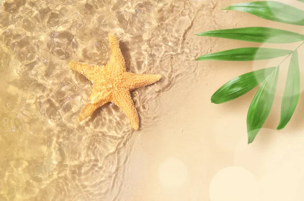 Starfish Summer Beach Sea Water Summer Background Summer Time — Stock Photo, Image