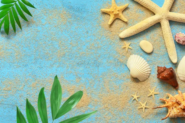 Tropical Background. Palm Trees Branches with starfish and seashell. — Stock Photo, Image