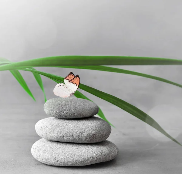 Steinbalance Und Grünes Palmblatt Zen Und Wellness Konzept — Stockfoto