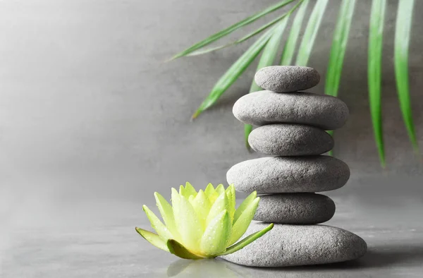 Steinbalance Weißer Blütenlotus Und Grünes Palmblatt Zen Und Wellness Konzept — Stockfoto