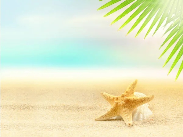 Seesterne Sandstrand Und Palmblätter Vor Dem Hintergrund Des Ozeans — Stockfoto
