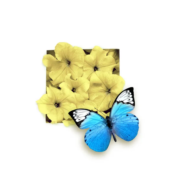 Niebieski motyl i kwiat na białym tle. Owad piękny. — Zdjęcie stockowe